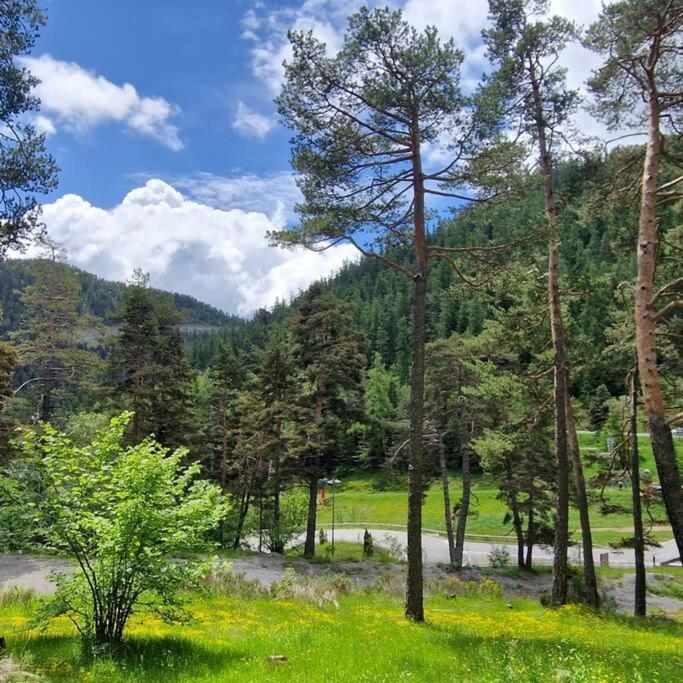 Appartement 3 Pieces Avec Jardin Valdeblore Εξωτερικό φωτογραφία